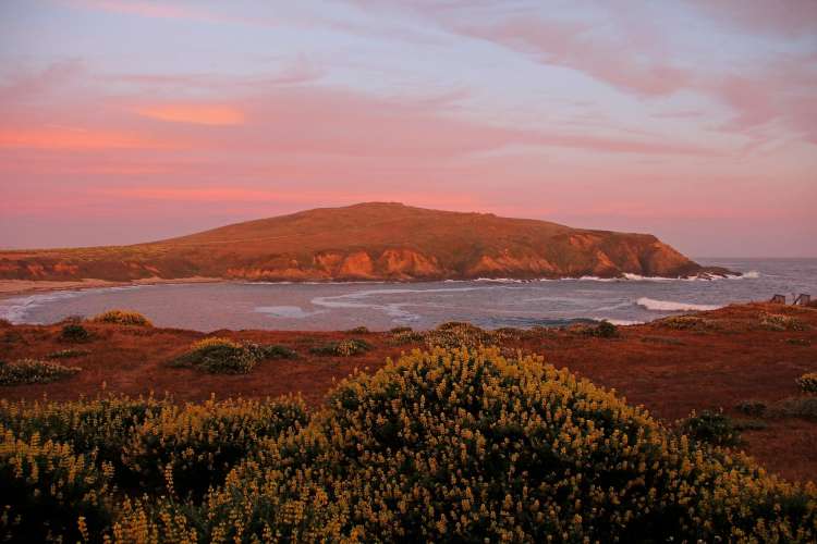 bodega bay